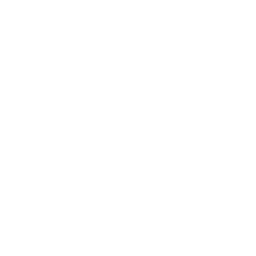 Miss & Mister Celebrity International